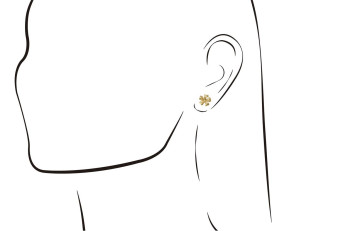 Brincos Family Eugénio Campos