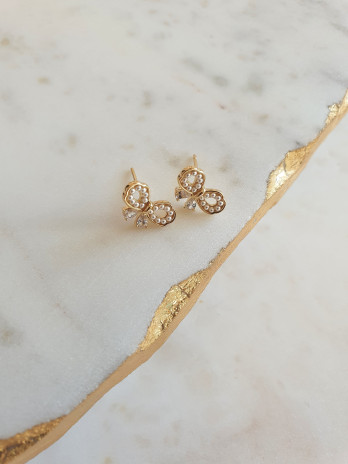 BRINCOS LACE  PRATA DOURADA