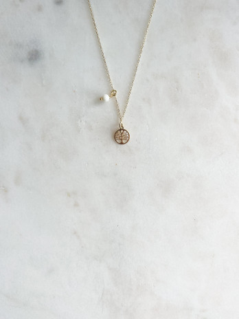 Colar Árvore Vida e Cristal Prata Dourada