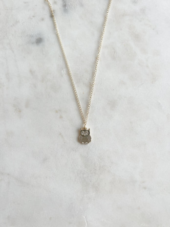 Colar Owl Prata dourada