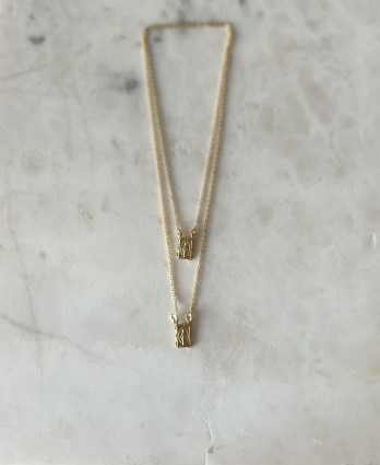 Escapulário Prata Dourada