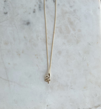 Colar Cobra Prata Dourada