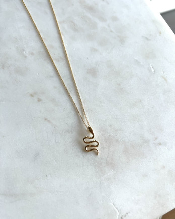 Colar Cobra Prata Dourada