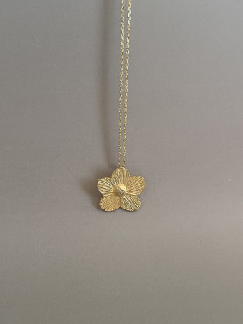 Colar Golden Flower Prata Dourada