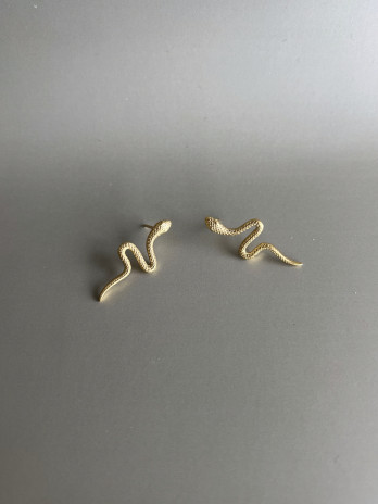 Brincos Cobra Prata Dourada