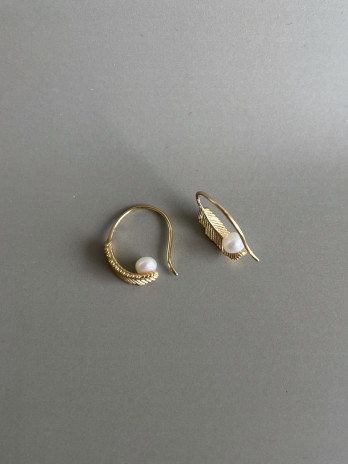 Brincos Nice Prata Dourada