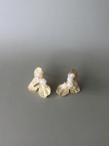 Brincos Trevisian Prata Dourada