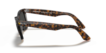 Óculos Ray Ban Wayfarer