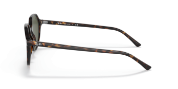 Óculos Ray Ban Thalia