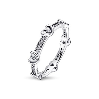 ANEL RADIANT SPARKLING HEARTS PANDORA