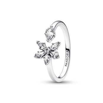 ANEL SPARKLING HERBARIUM PANDORA