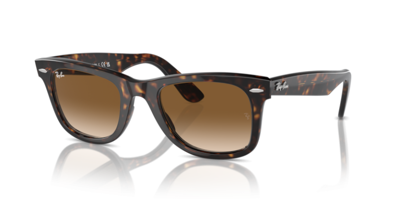 Óculos Ray Ban Wayfarer
