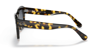 ÓCULOS RAY BAN STATE STREET