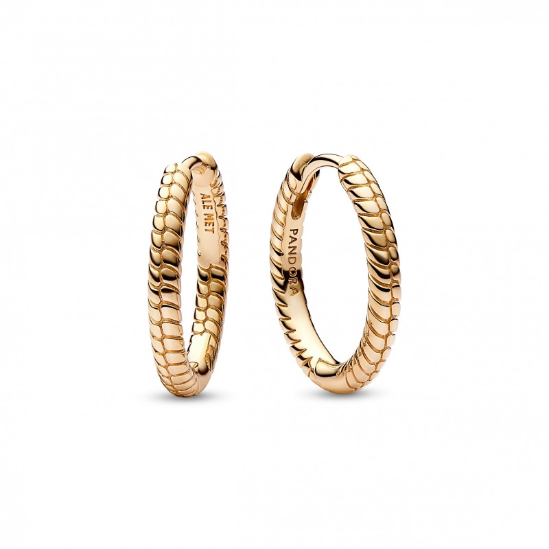 Argolas Snake Chain Pandora